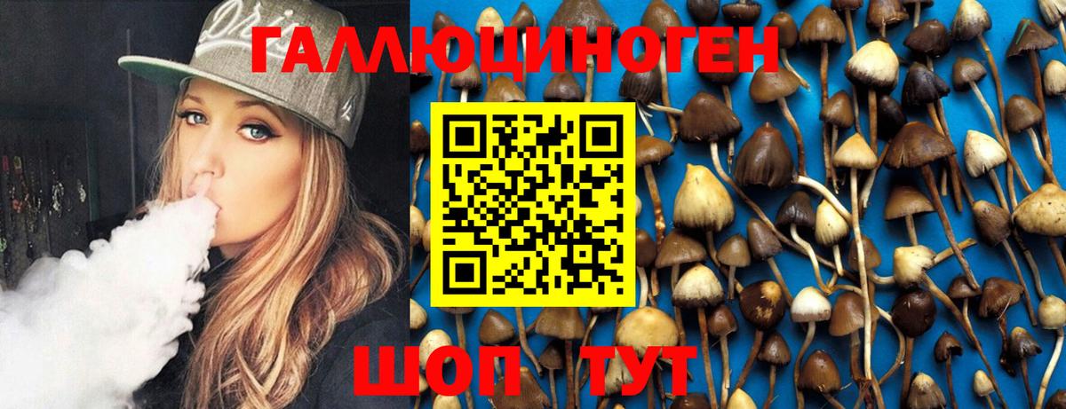 Псилоцибиновые грибы MAGIC MUSHROOMS  Галлюциногенные грибы мицелий  Вход с VPN  Аша 
